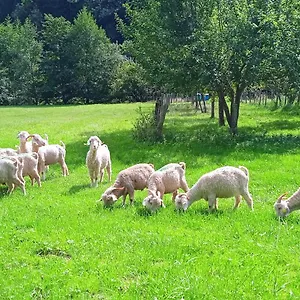 au-mohair-des-alpy.midi-pyreneeshotels.com/
